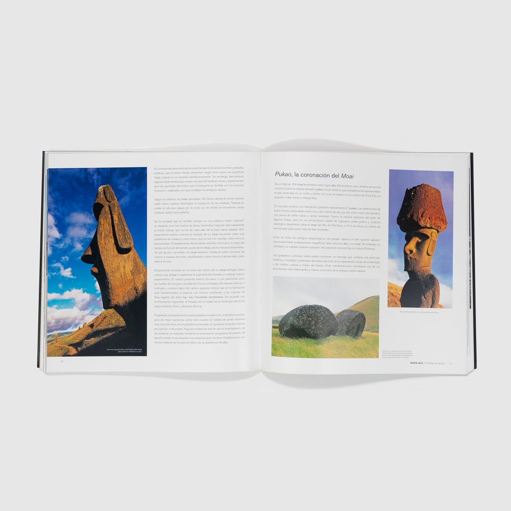 Libro Rapa Nui el ombligo del mundo